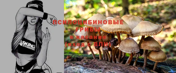 MDMA Premium VHQ Зеленокумск