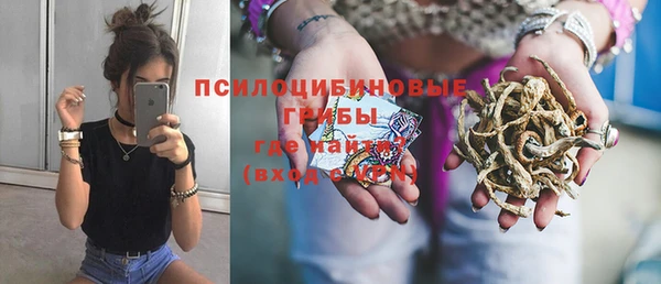 метадон Алексин