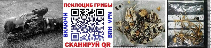 Псилоцибиновые грибы GOLDEN TEACHER  как найти закладки  Лодейное Поле 